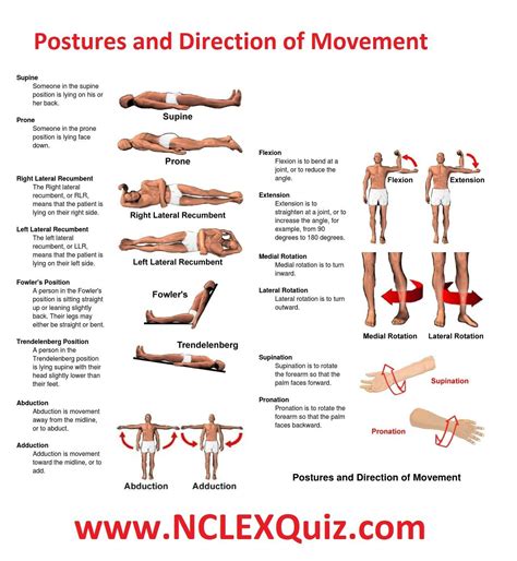 Types of Positions